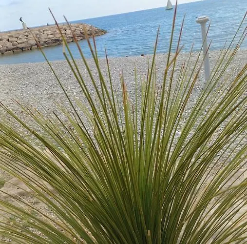 Chez Bianca Les Coquelicots Les Lucioles Διαμέρισμα